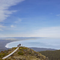 Hump Ridge Track