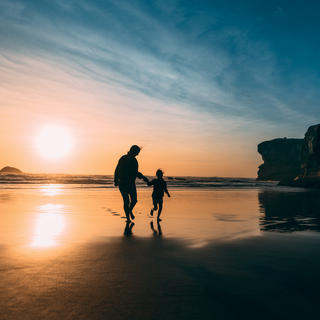 Muriwai Beach, Auckland