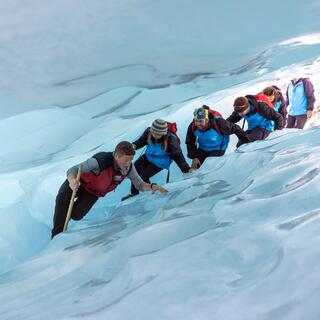 Fox Glacier 