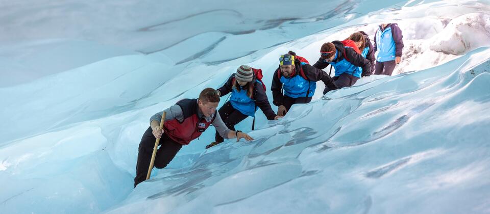 Fox Glacier 
