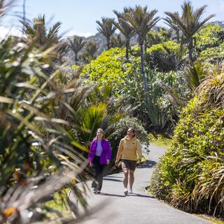 Punakaiki, West Coast