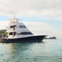 The Landing, Bay of Islands 