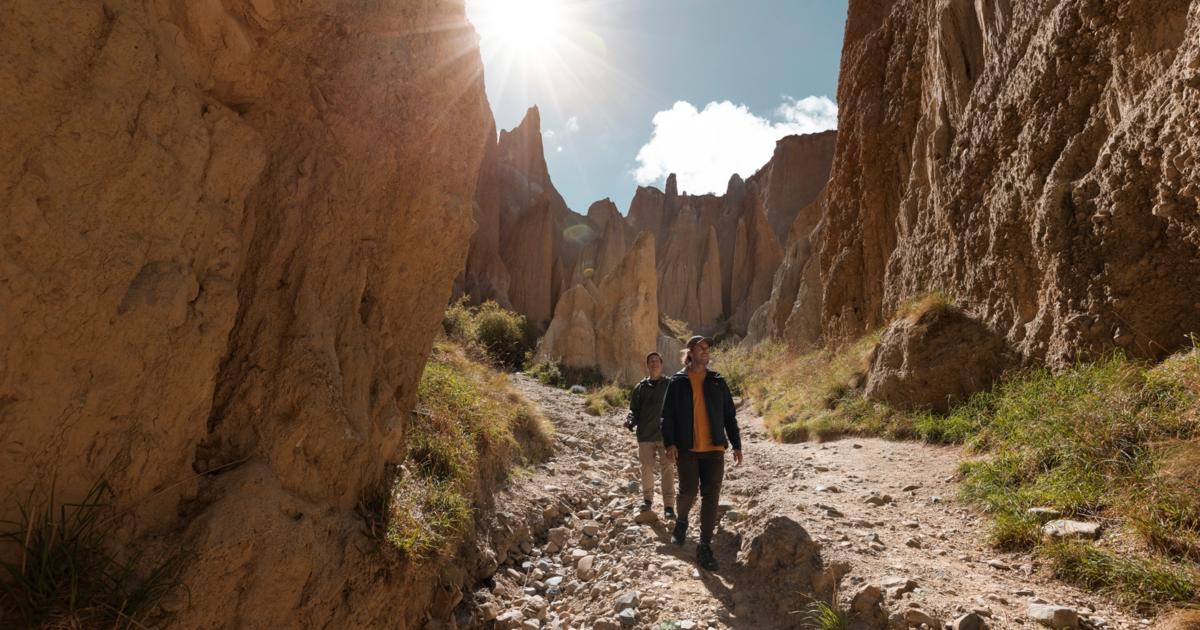 Job | eTurboNews | eTN