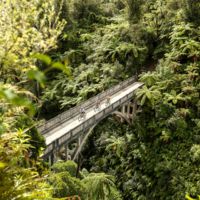 Whanganui National Park