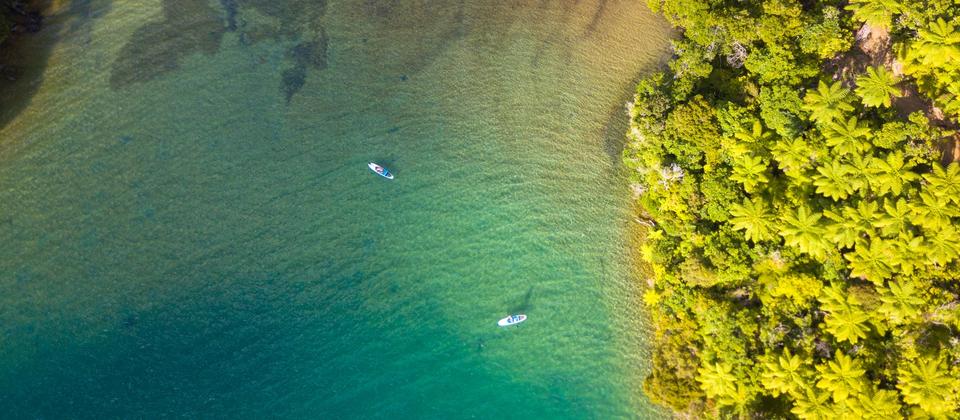 Marlborough Sounds