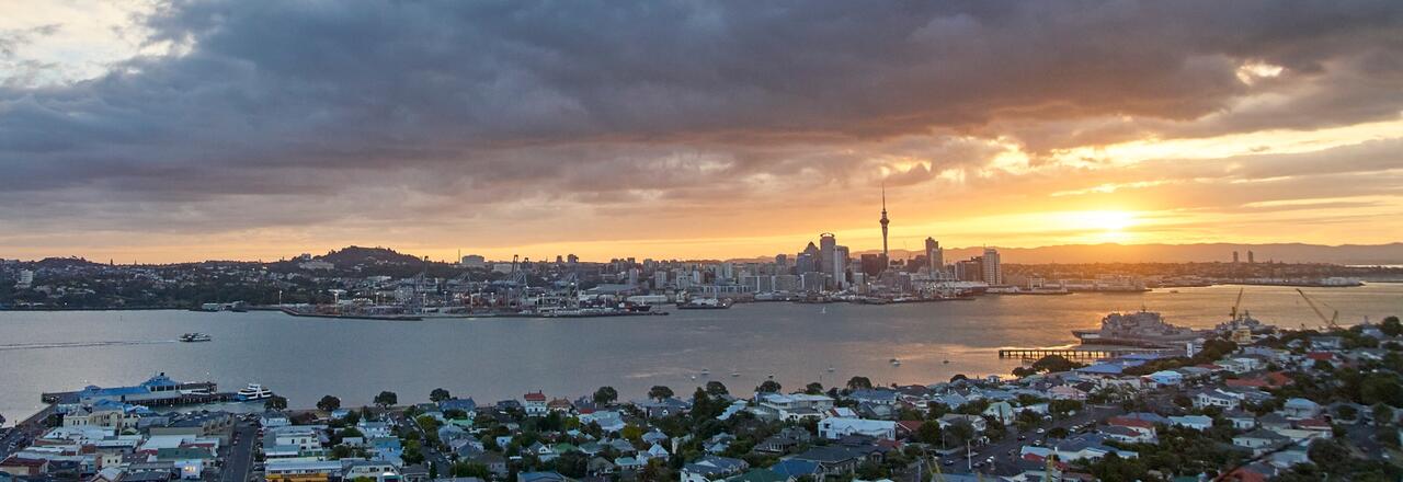 Auckland Skyline