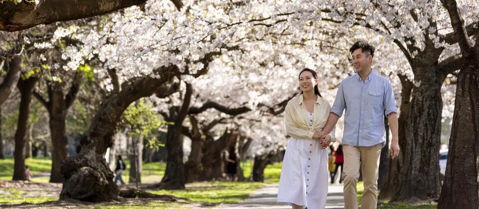 Hagley Park