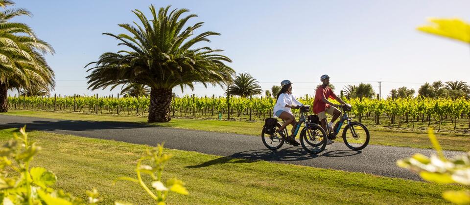 Elephant Hill Winery, Tākaro Trails Cycle Tours