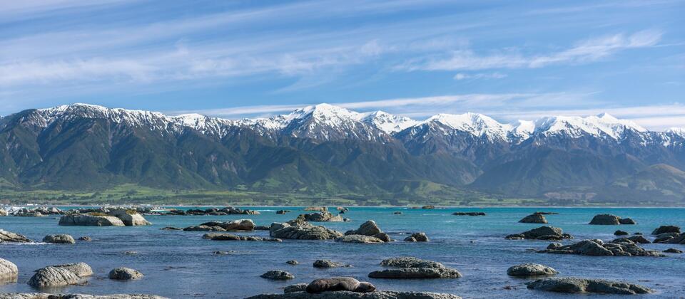 Kaikoura Peninsula Walkway