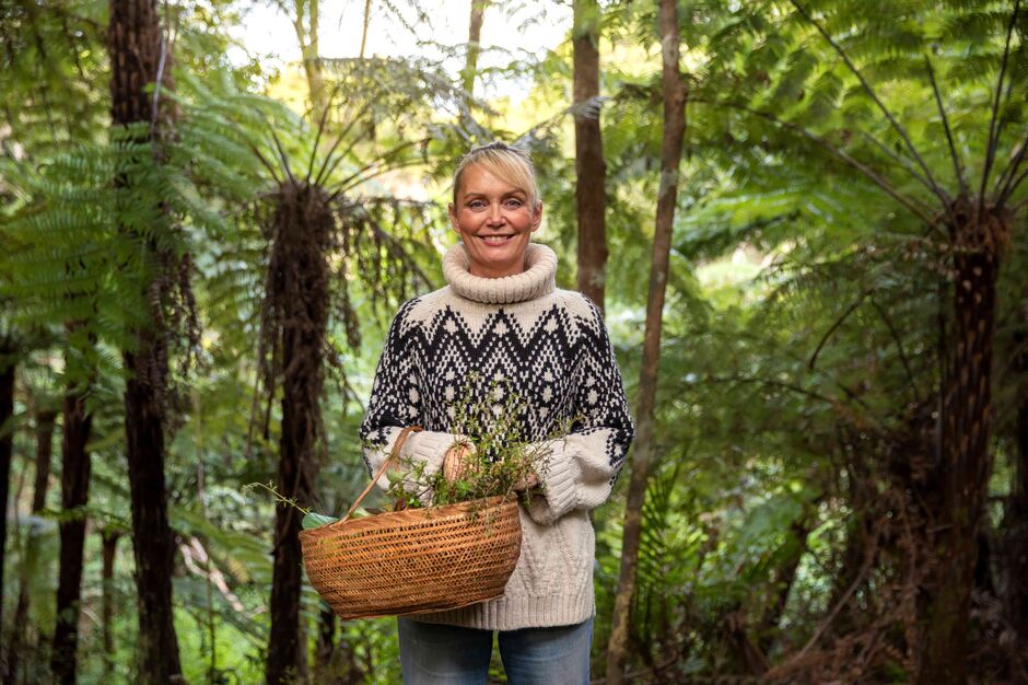 Velskov native forest farm in Auckland