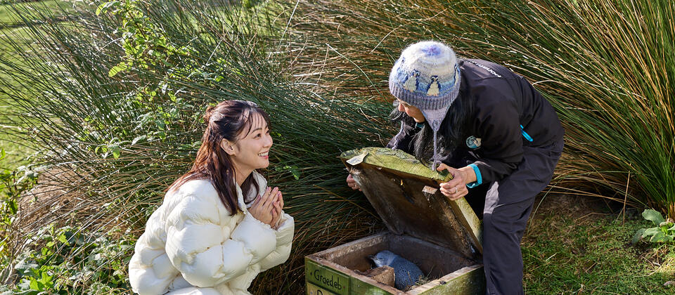 Kana Kurshina at Pohatu Penguins