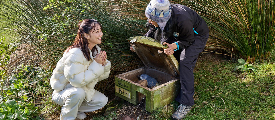 Kana Kurshina at Pohatu Penguins